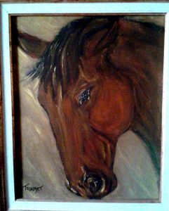 cheval-4