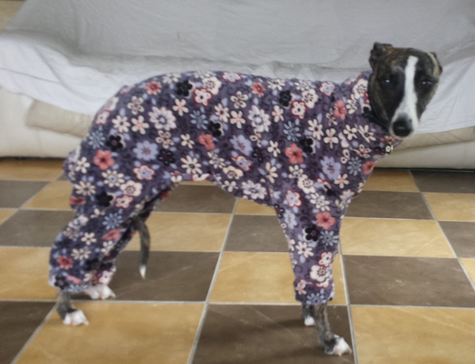 pyjama4