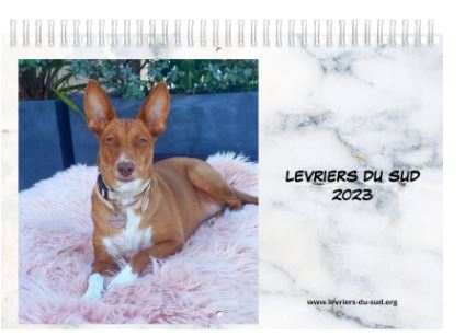 podenco