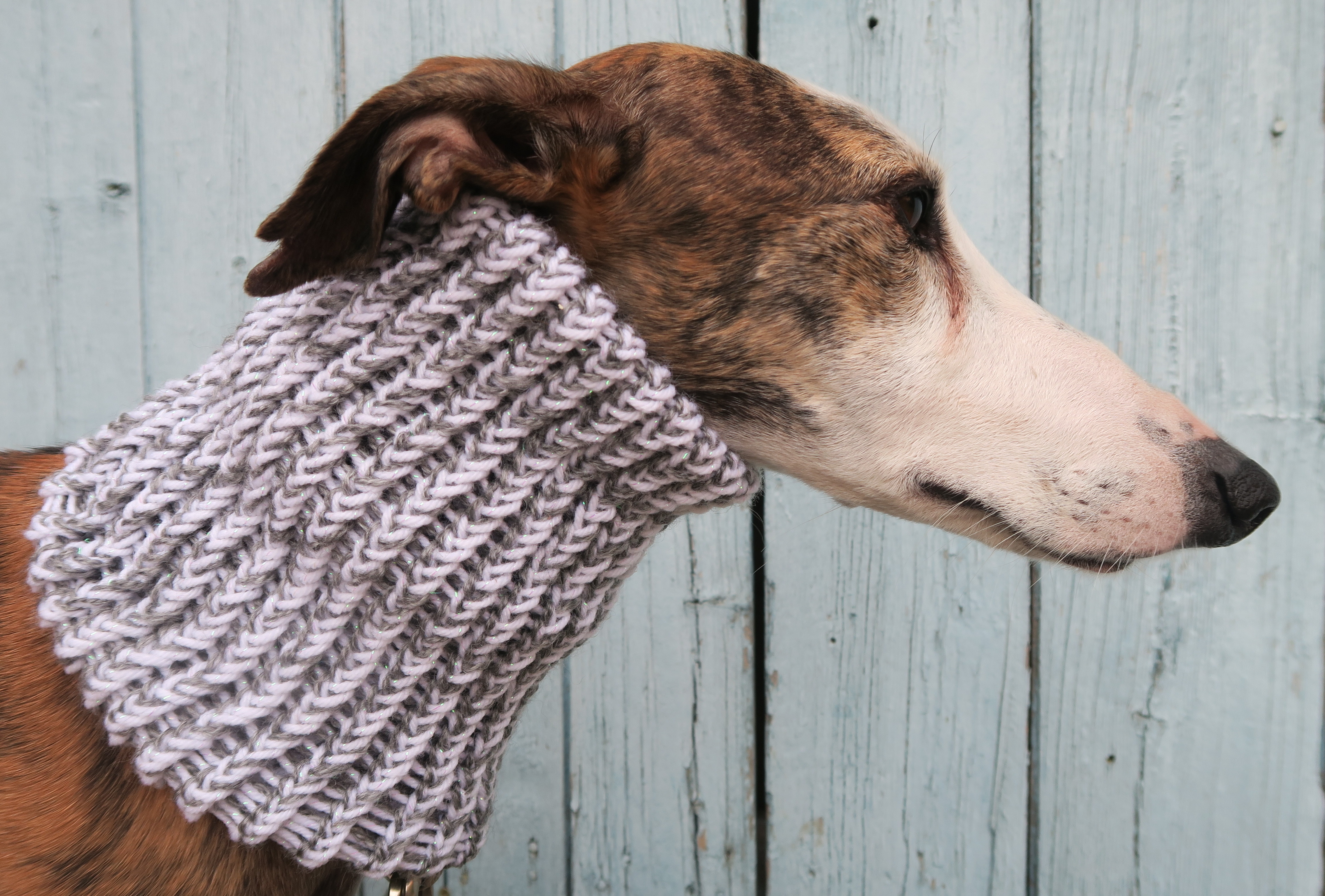 Snood 22