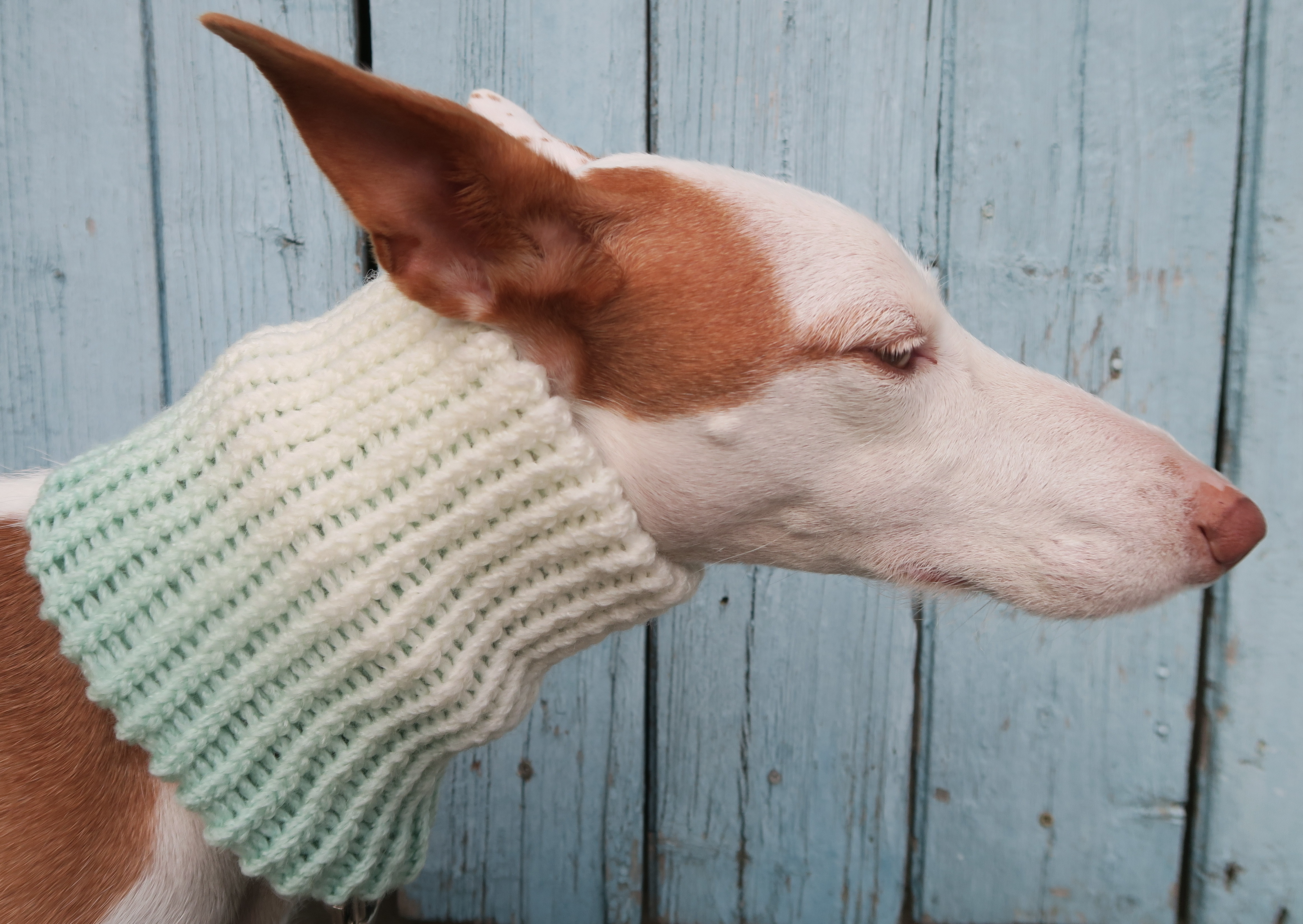 Snood 8