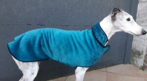 Manteau lévrier galgo podenco polaire verte foncée col vert doublé gris