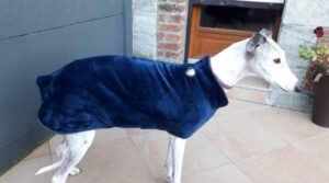 Manteau lévrier galgo podenco polaire bleu col bleu doublé gris