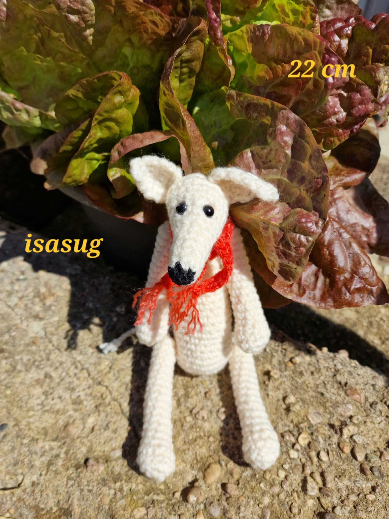 peluche
